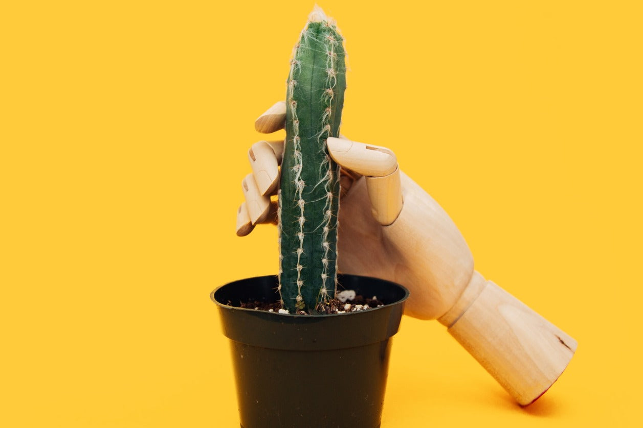 How To Masturbate Your Penis: 15 Best Masturbation Tips For Men Promescent How To Masturbate Your Penis: 15 Best Masturbation Tips For Men Promescent