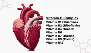 Human heart with a list of B complex vitamin benefits next to it