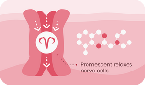 Promescent delay spray relax nerve cells to help control premature ejaculation