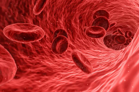 Image of increased blood flow inside the body
