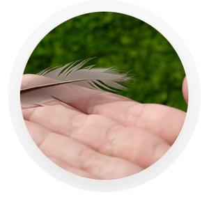 Feather being rubbed across finger tips