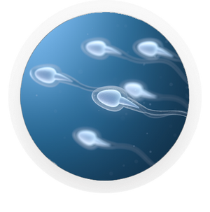 Promescent Testosterone Booster can help maintain helathy sperm production levels